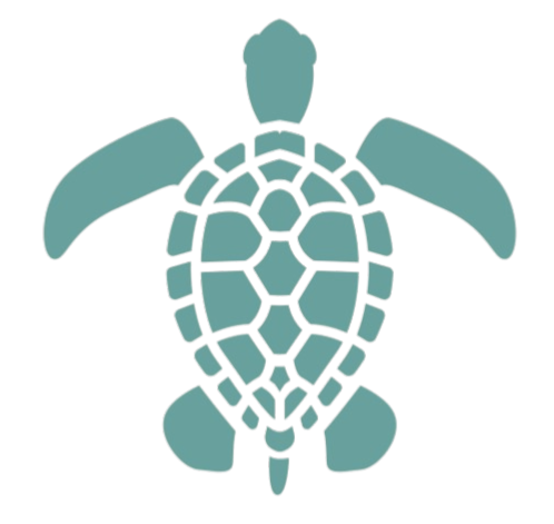Turtle graphic